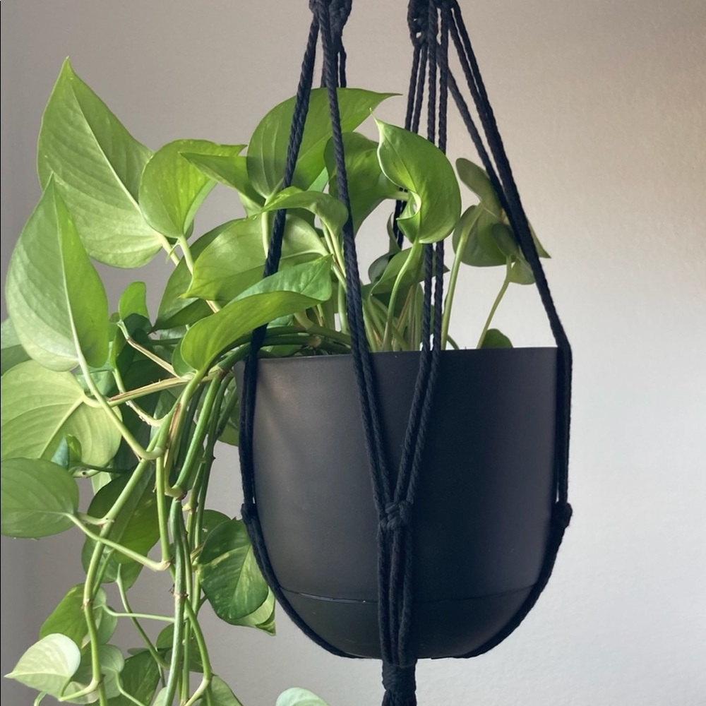 Black macrame plant hanger